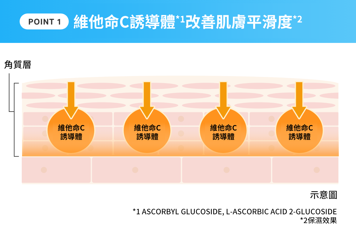 POINT1 ビタミンC誘導体配合でキメととのう